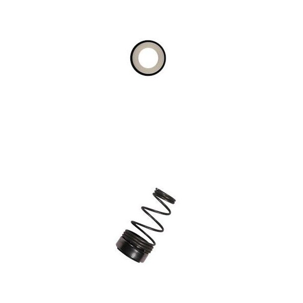 Pump Repair Kits- Kit, Shaft seal BVEFF, Spare Part.